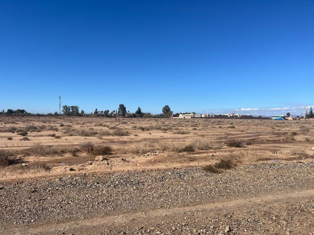 IMG-20260503-WA0001